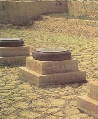 تصویر د: پاین ستون‌های کاخ کوروش در برازجان که مانند پایه ستون کاخ پاسارگاد از دو رنگ سفید و سیاه و با تراش یکسان ساخته شده‌اند