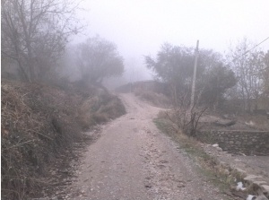 روستای بیاره