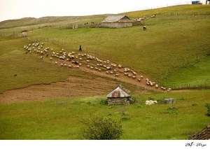 سوباتان - بهشتی دیگر