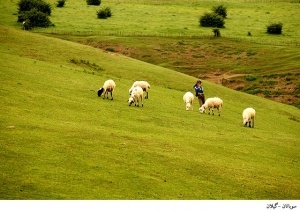 سوباتان - بهشتی دیگر