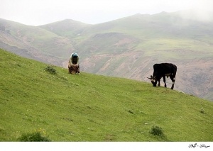 سوباتان - بهشتی دیگر